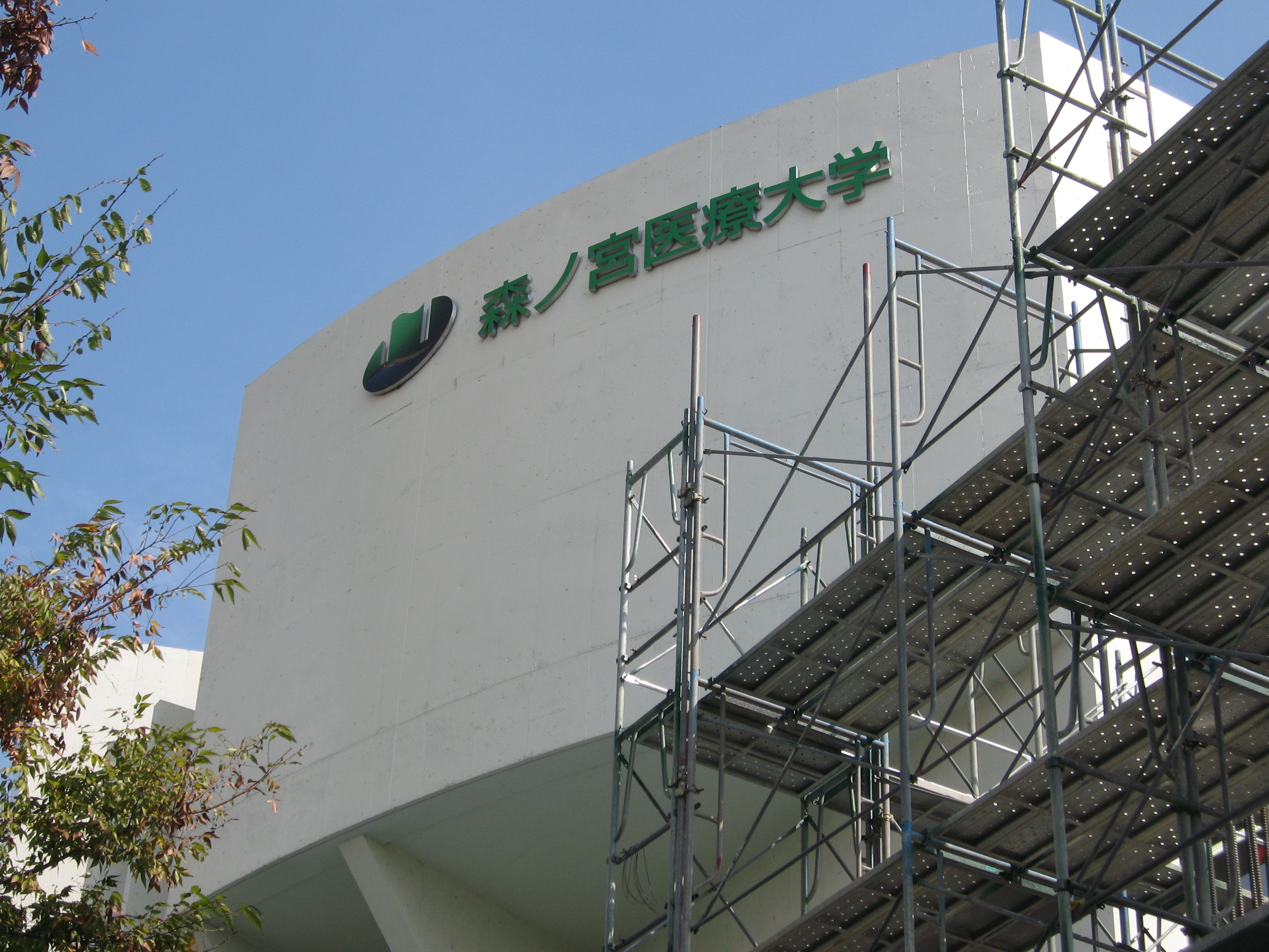 足場の骨組みも高くなってきました！ まだまだ高層になります！
