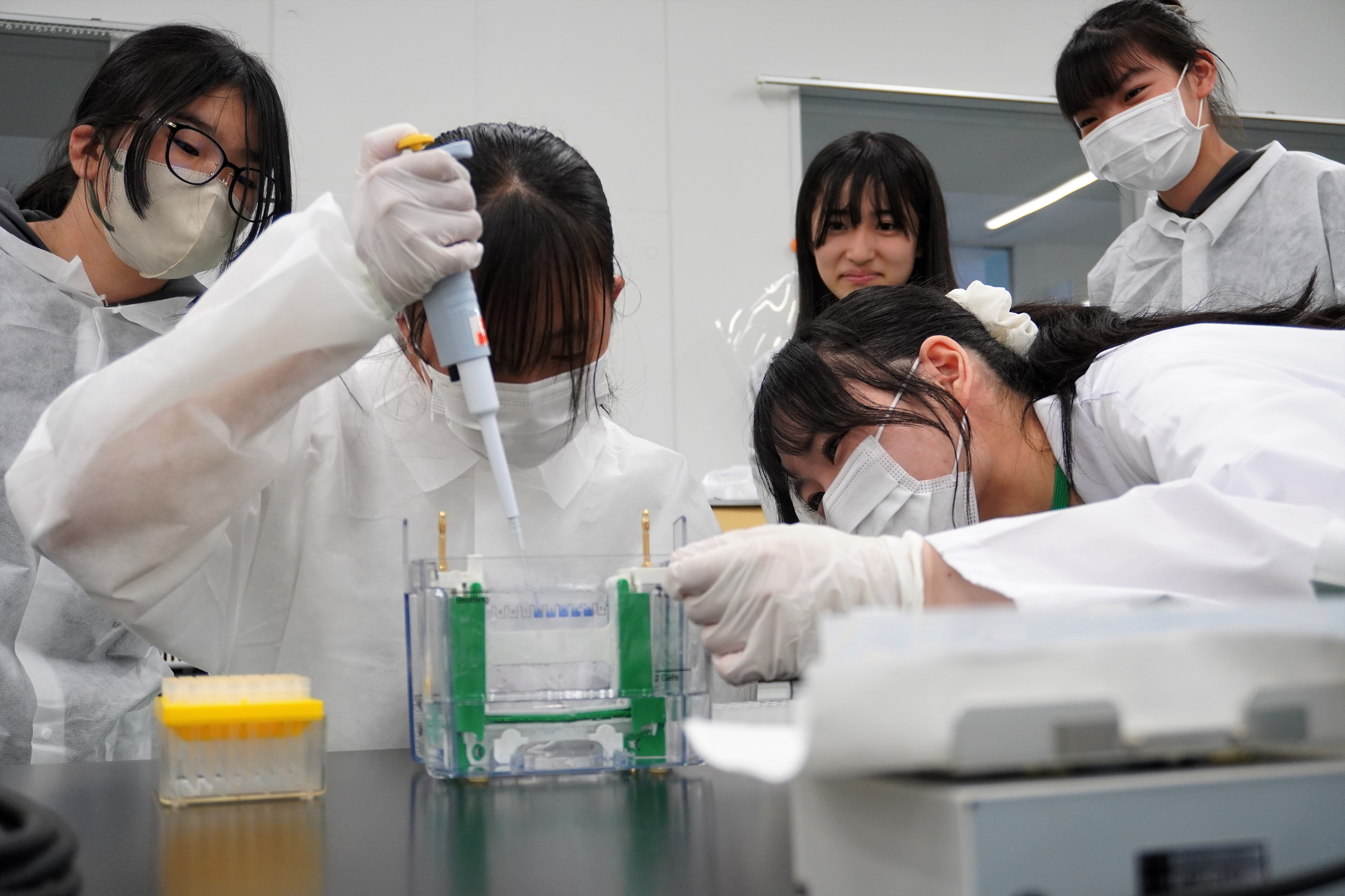 中学生対象プログラムの当日の様子