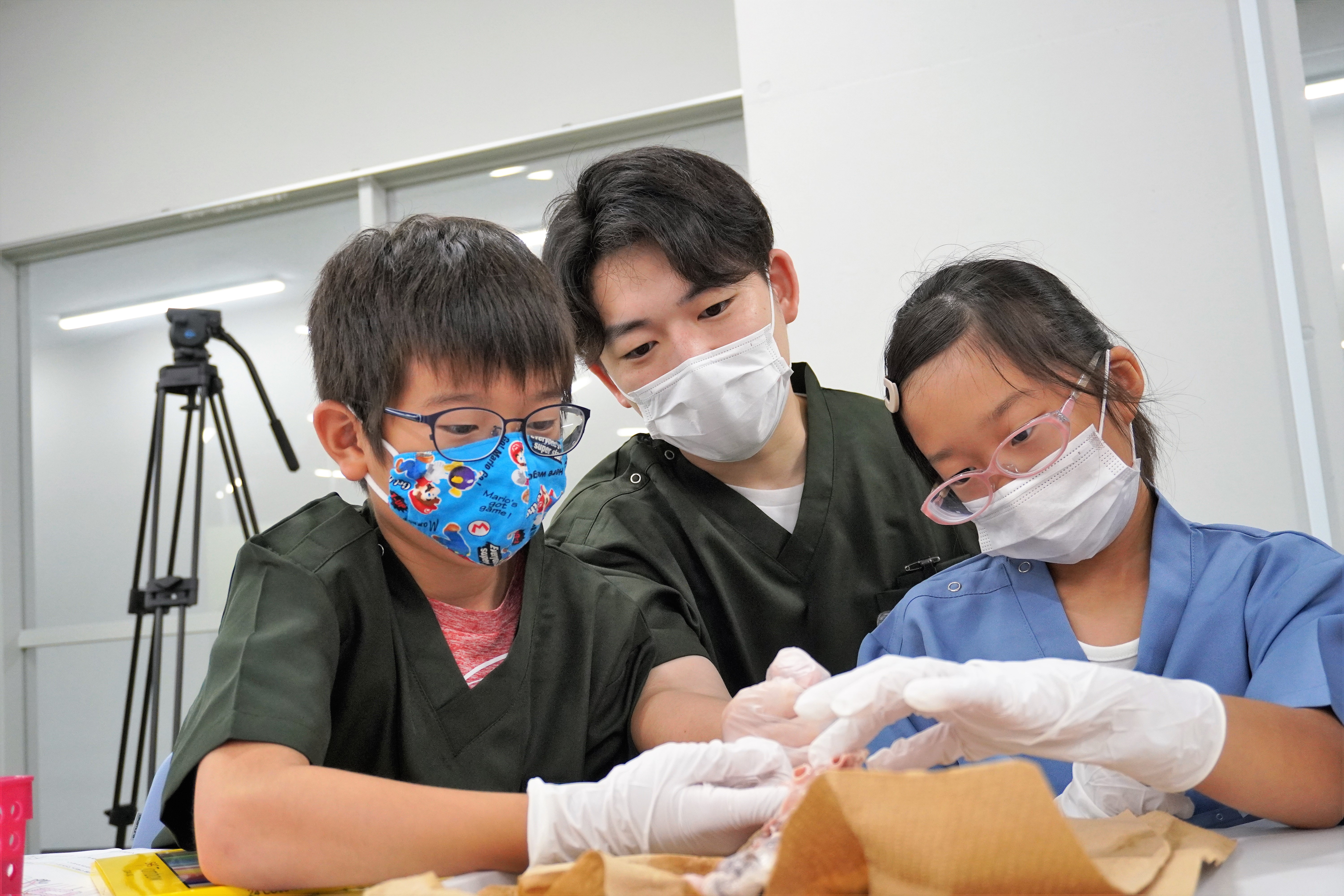 小学生対象プログラムの当日の様子