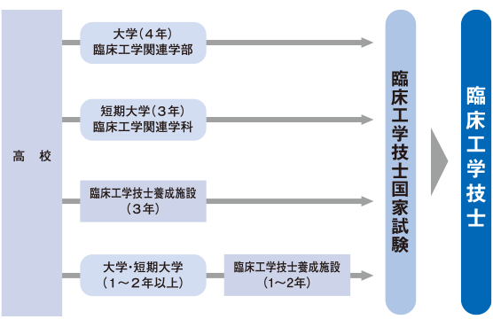 技士 大学 工学 臨床