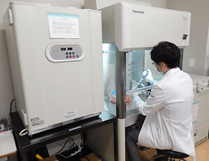 培養細胞実験システム
