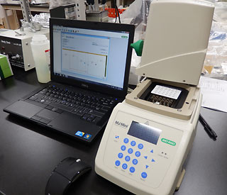 リアルタイムPCR